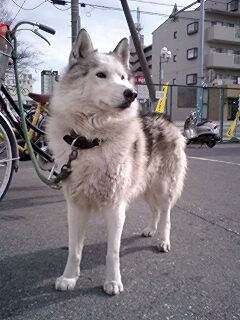 nXL[I