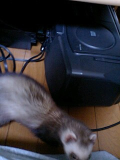 킟߂orz