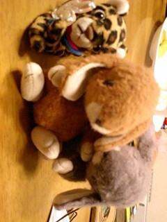 �������ƃq���E