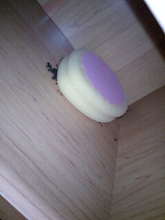 ������[�_(^0^)�^