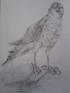 �n���u�T����?