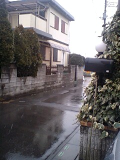 ZŖʐڂĂ̂ɂ[